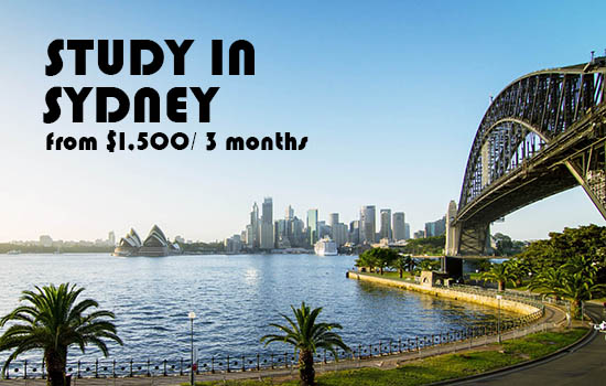 Cheap Course in Sydney