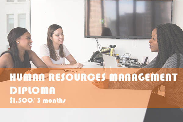 Human Resources Sydney